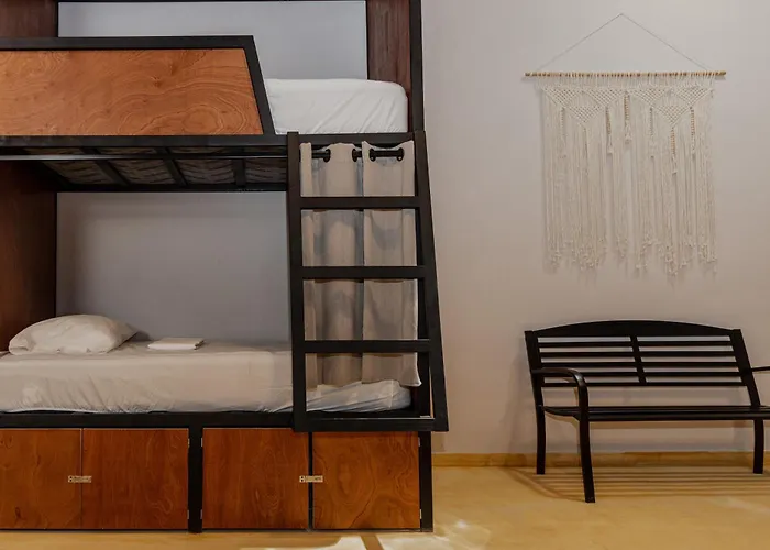 Caleta Hostel Rooftop & Pool Cancun